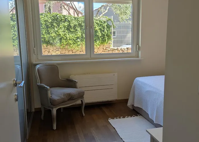 Magnolia * ザダル