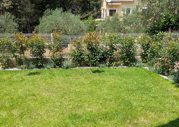 Magnolia * ザダル