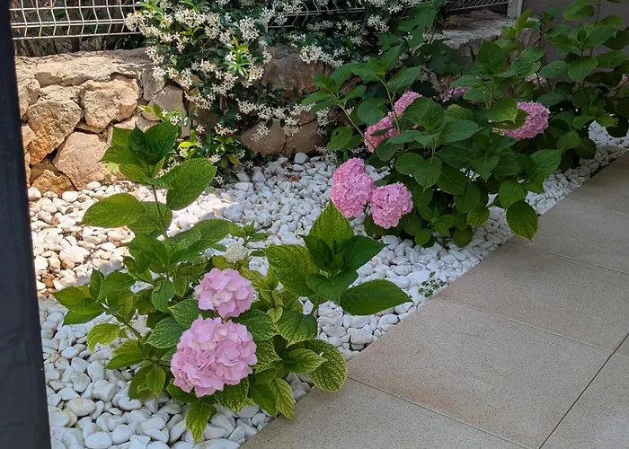 Magnolia アパート