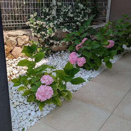 Magnolia Apartmán
