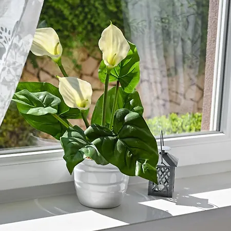 Magnolia Apartmán *